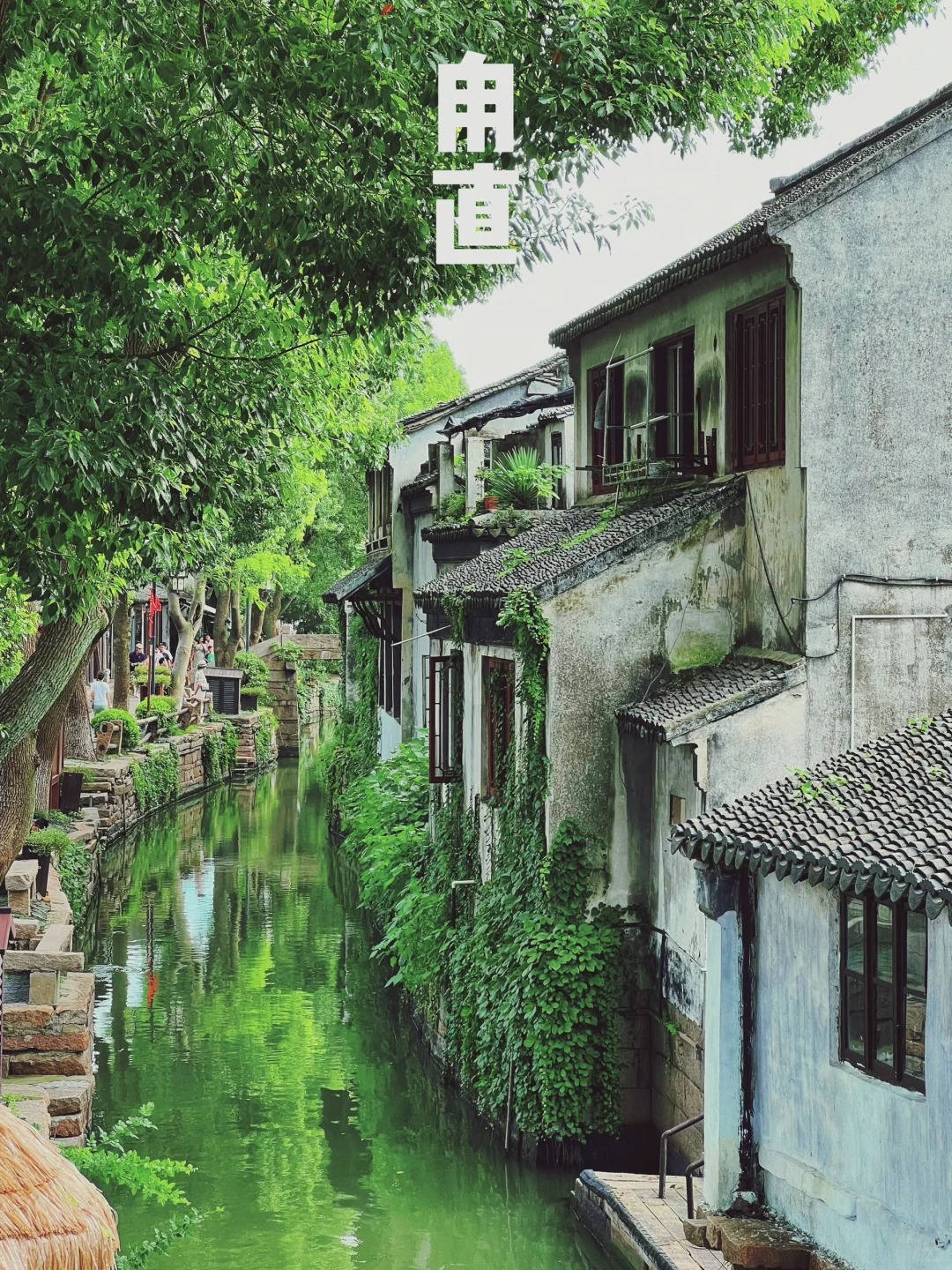 江南水乡巡礼——神州第一水乡，甪直_1_小布的旅行笔记_古镇-来自52tours 我爱旅游网